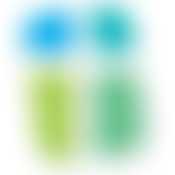 The Parochial Church Council Of The Ecclesiastical Parish Of St John The Evangelist New Borough And Leigh, Wimborne | Charici