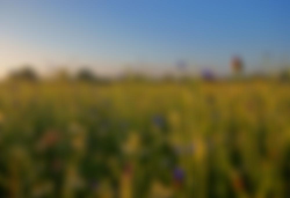 The Ickleford Burial Ground Trust | Charici