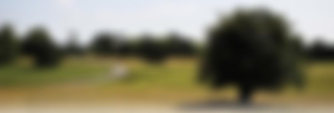 Alfred Williams Charitable Trust | Charici