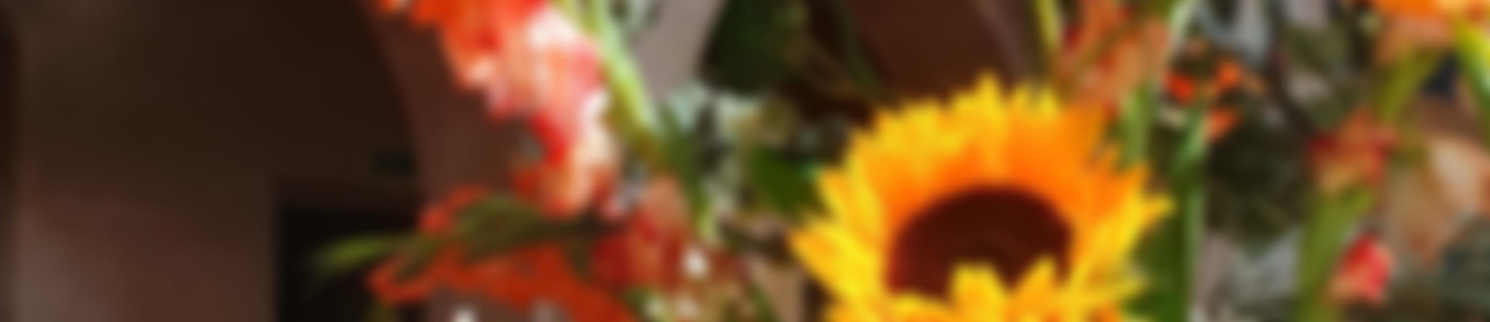 The Parochial Church Council Of The Ecclesiastical Parish Of St John The Evangelist Upper St Leonards On Sea | Charici