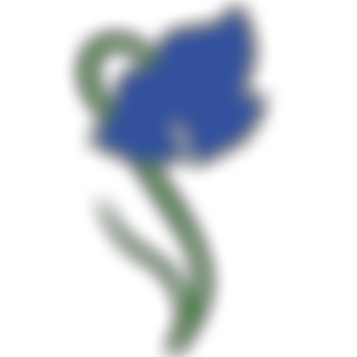 The Bluebell Foundation | Charici