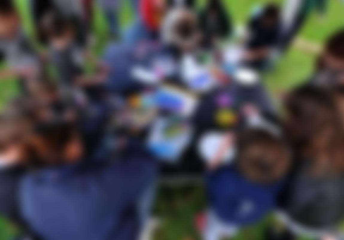 Environmental And Management Solutions Limited | Charici