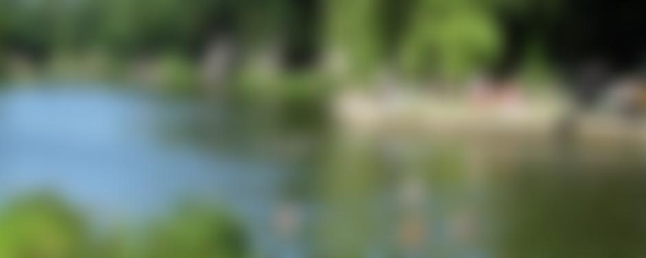 Henleaze Swimming Club | Charici