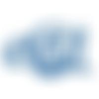 Friends Of Ecsat | Charici