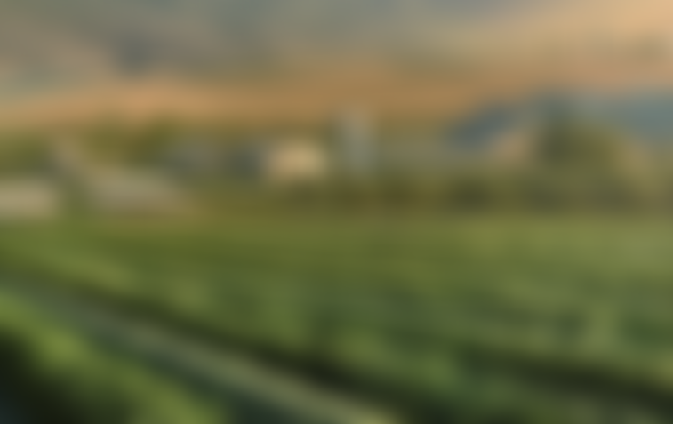 Jca Charitable Foundation | Charici