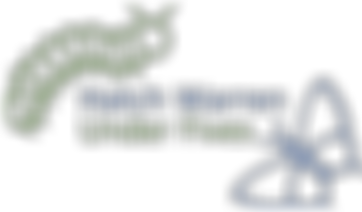 Hatch Warren Under Fives Pre-School Limited | Charici