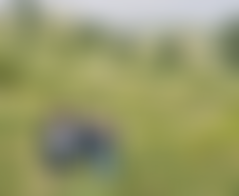 Steyning Downland Scheme | Charici