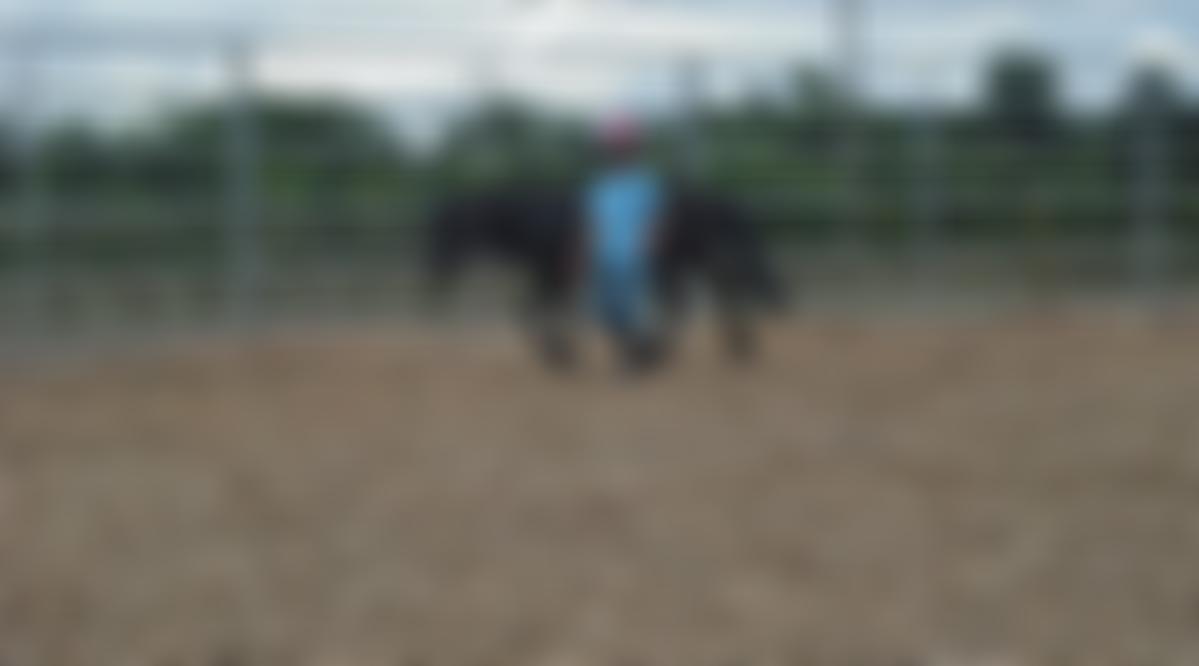 The Centaurus Trust | Charici