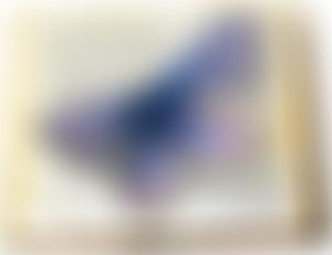 The Butterfly Garden | Charici