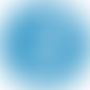 Emergent Disease Foundation | Charici