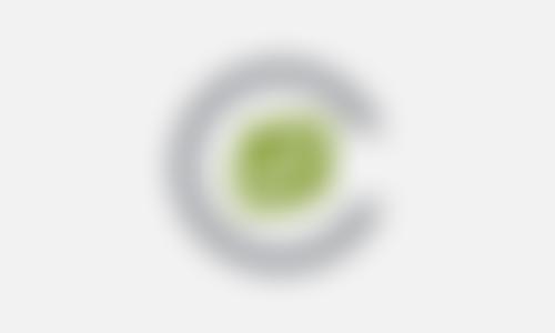 The Clarendon School Parent-Staff Association | Charici