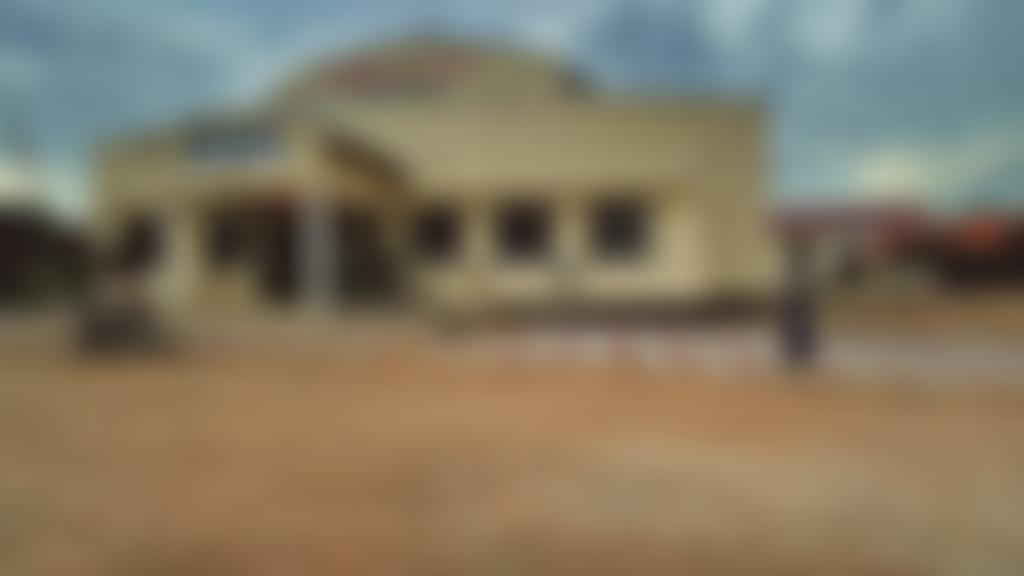 Tanzania (UK) Trust | Charici