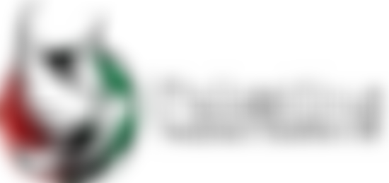 Palestine Trauma Centre (UK) | Charici