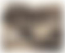 The Cottage Nursery | Charici