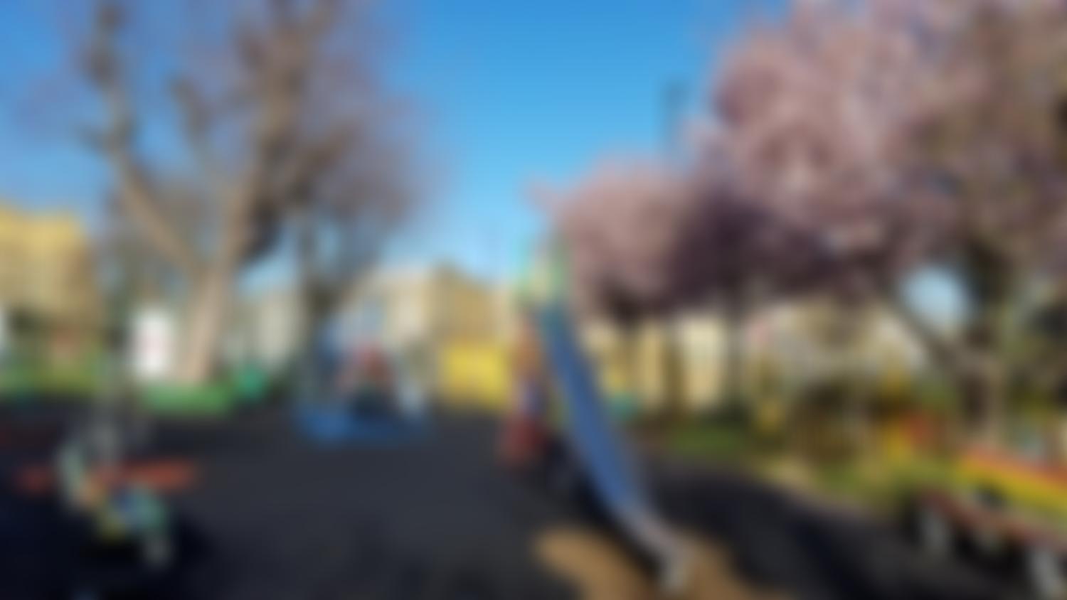 Papa's Park Ltd | Charici