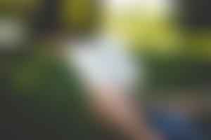 The Parochial Church Council Of The Ecclesiastical Parish Of All Saints Hordle | Charici