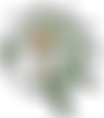 The Parochial Church Council Of The Ecclesiastical Parish Of Ottery St Mary | Charici