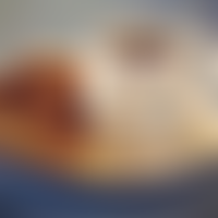 The Parochial Church Council Of The Ecclesiastical Parish Of Holy Trinity & Christ Church, Chesterfield | Charici