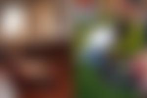 The Wardens And Assistants Of Rochester Bridge In The County Of Kent | Charici