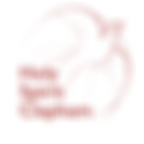 The Parochial Church Council Of The Ecclesiastical Parish Of The Church Of The Holy Spirit, Clapham | Charici