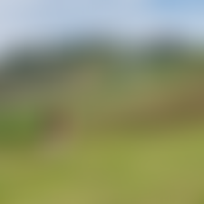 The Campaign To Protect Rural England Wiltshire | Charici