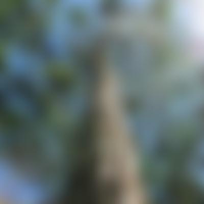 Plant Your Future | Charici