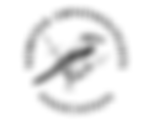 Norfolk Ornithologists Association | Charici