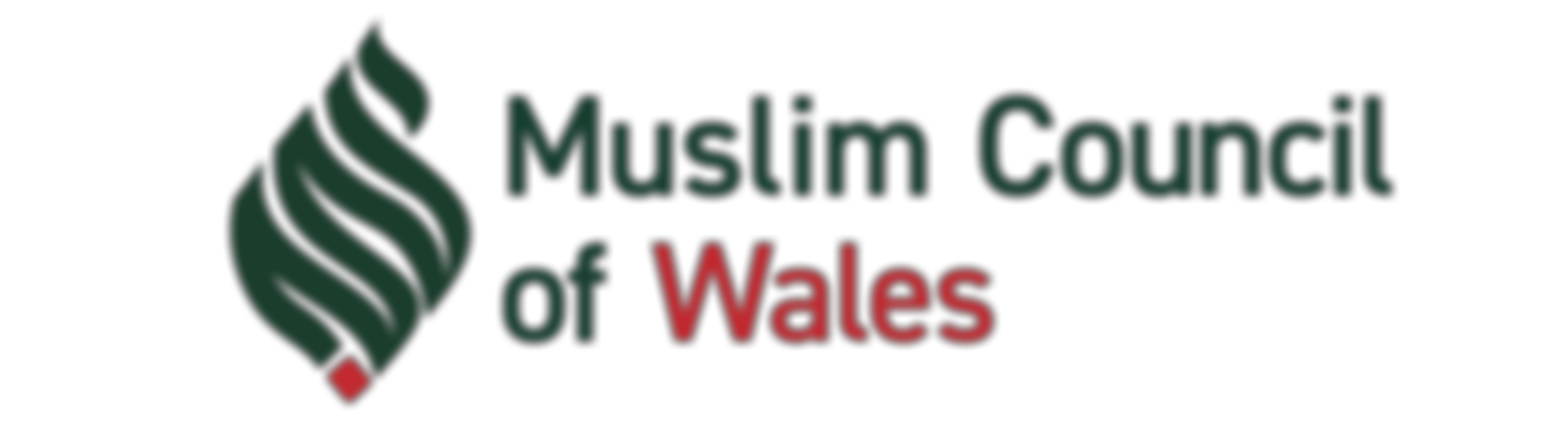 The Muslim Council Of Wales Charitable Foundation | Charici