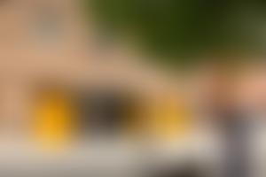 The Mustard Tree | Charici