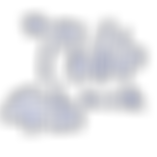 The Philip Lank Trust | Charici