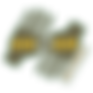 Bora Shabaa Refugee Community Organisation | Charici