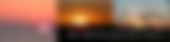 The Martinsey Isle Trust | Charici