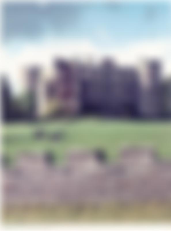 Ruperra Castle Preservation Trust | Charici