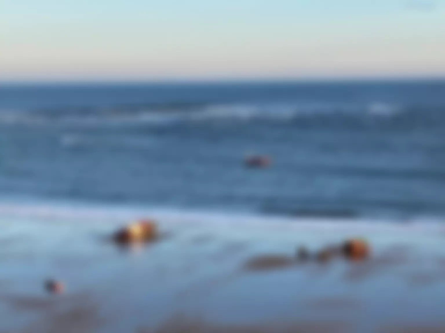 Redcar & Cleveland Voluntary Development Agency | Charici