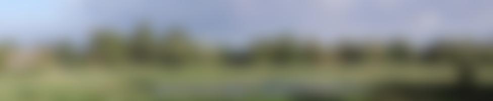 Nayland-With-Wissington Conservation Society | Charici