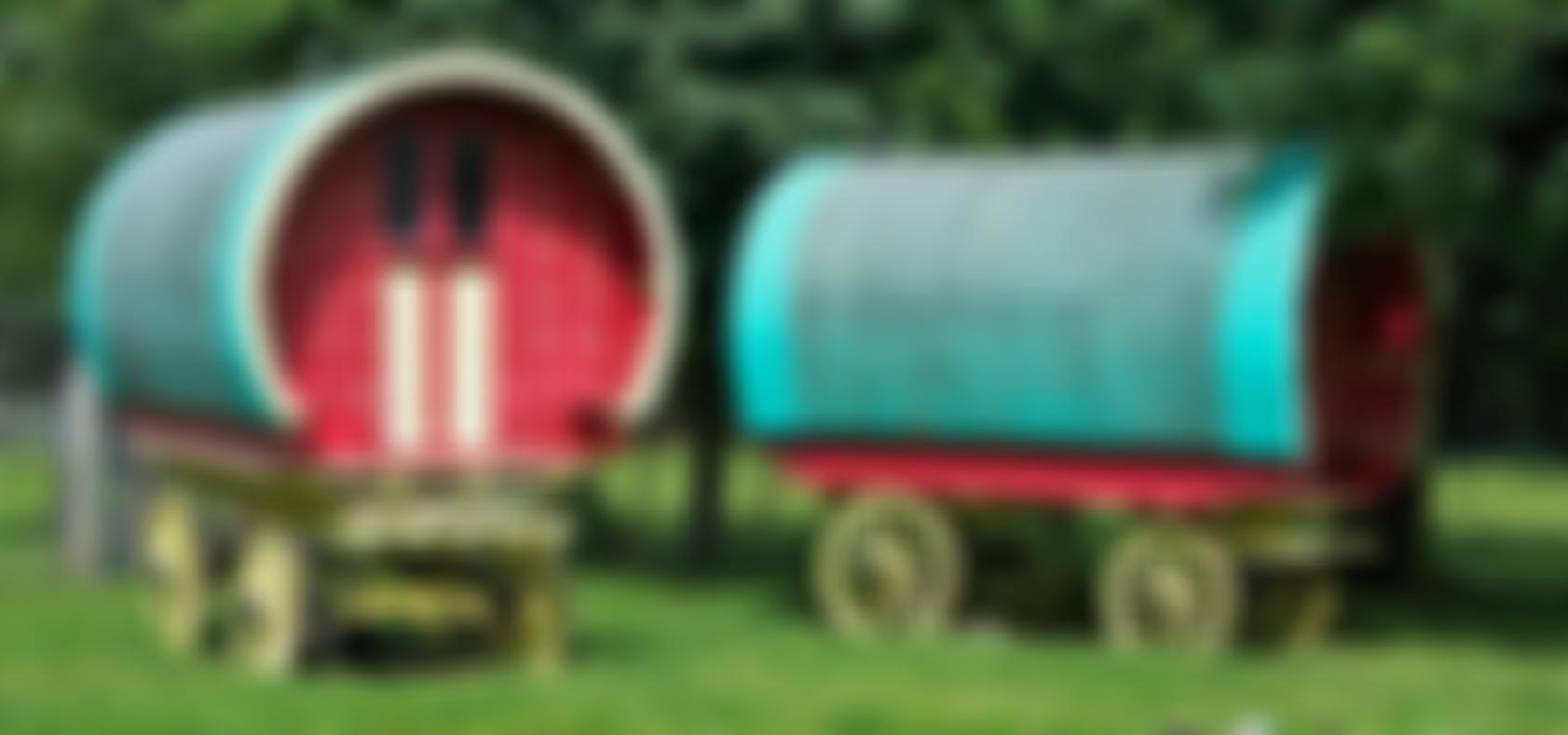 Kushti Bok | Charici