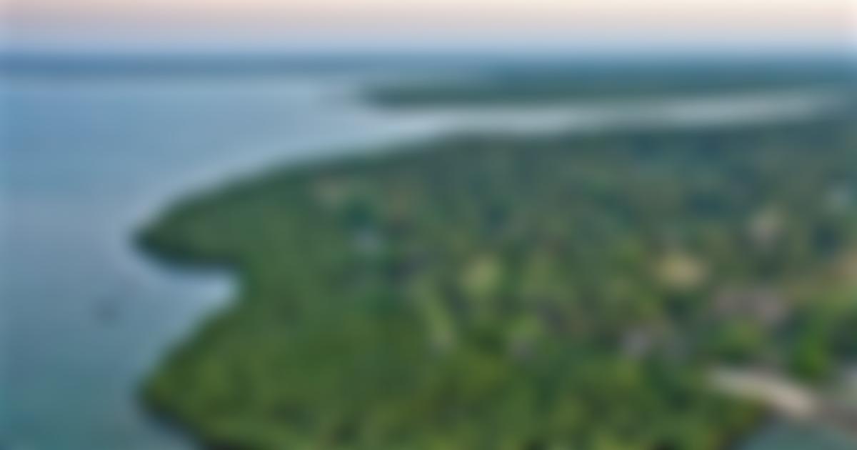 The Chole Mjini Trust Fund | Charici