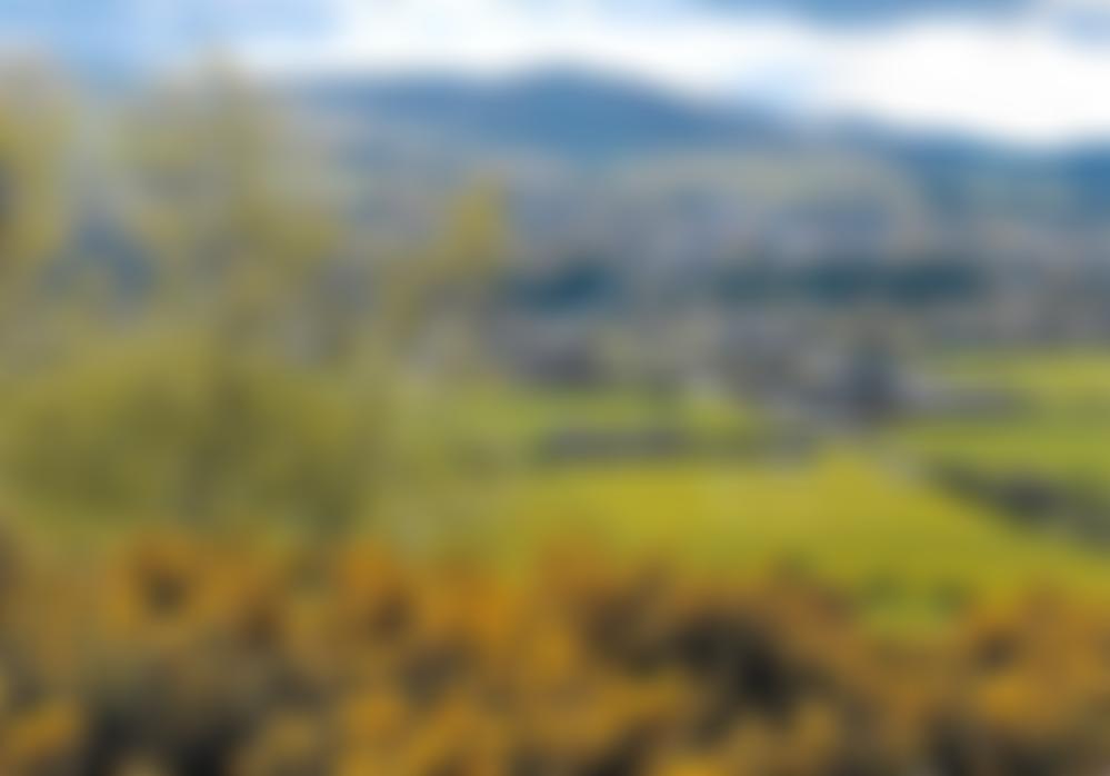 University Of The Third Age, Wooler Branch | Charici