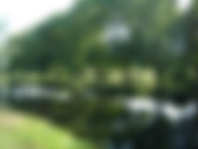 St Columba Foundation | Charici