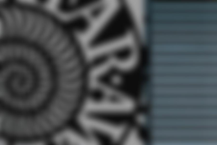 European Museum Forum | Charici