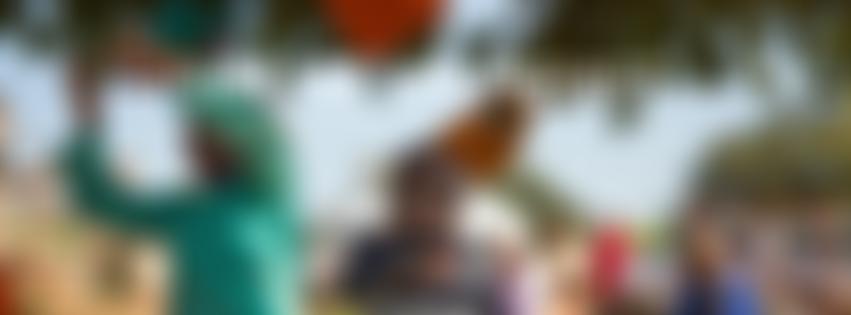 Link 4 Life Project | Charici