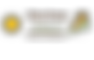 Play Kenya | Charici