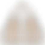 Werneth Jamia Masjid | Charici