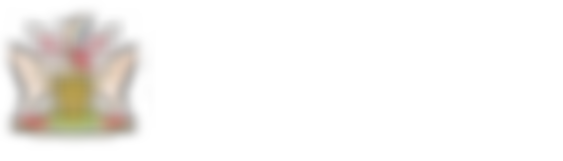 Abingdon Museum Friends | Charici