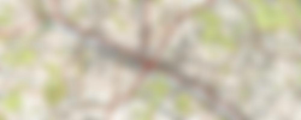 High Wycombe Methodist Circuit | Charici