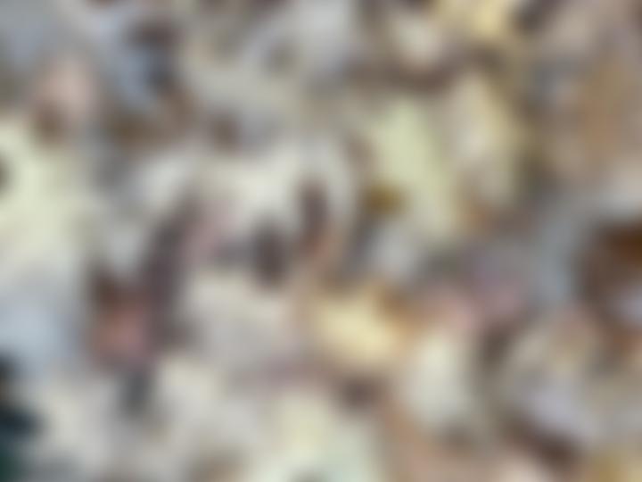 Wey Valley Methodist Circuit | Charici