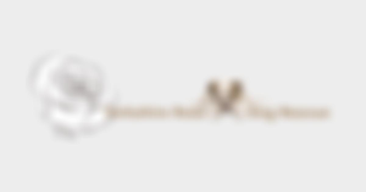 Yorkshire Rose Dog Rescue | Charici