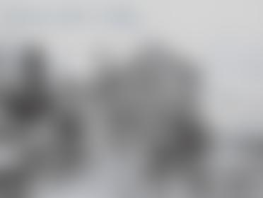 Bunbury Watermill Trust | Charici