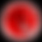 Plymouth Judo Club | Charici