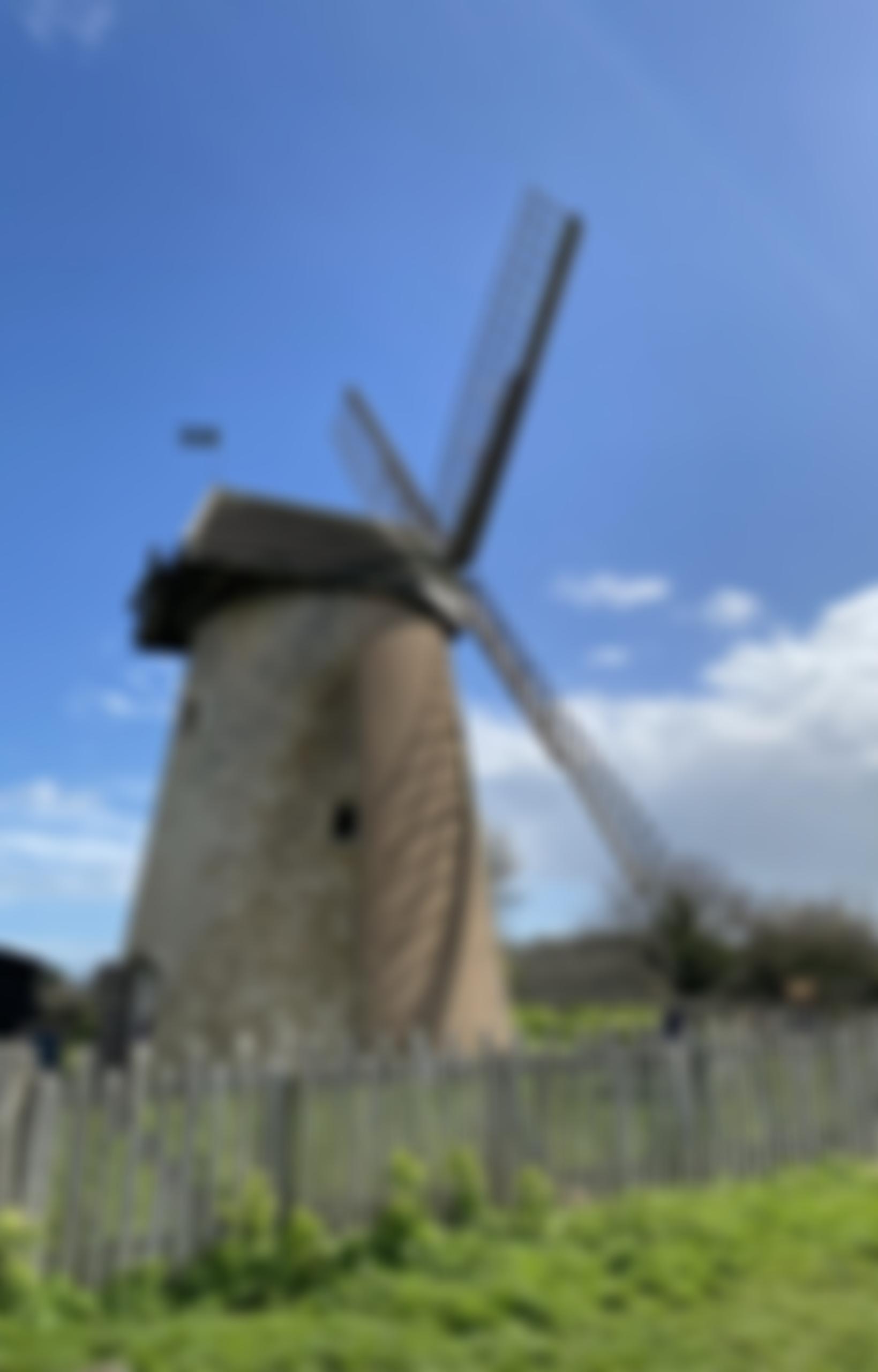 Bembridge Friendship Circle | Charici